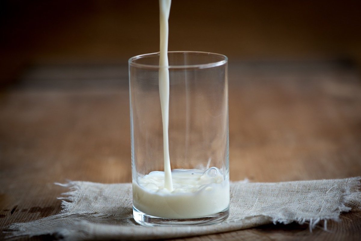 生の発芽玄米で作ったライスミルクが身体に良い理由