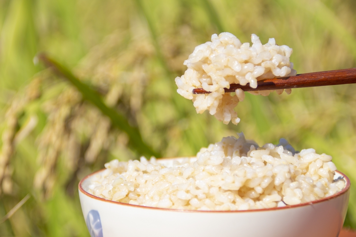 生きているお米、玄米を食べよう【食べ物の生命力が命の源になる】
